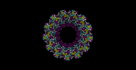 Mumps virus nucleocapsid 3D molecule 4K