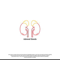 Vector diagram of adrenal glands