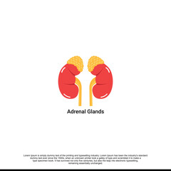 Vector diagram of adrenal glands