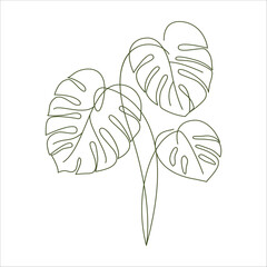Monstera delicosa plant leaves in linear drawing icon. Monstera plant in a pot linear icon. Monstera leaves line art. Vector illustration © kursi_design