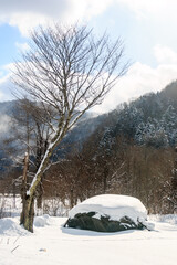 北海道日高町、「チロロの巨石」と呼ばれる日本一大きな結晶片岩【1月】