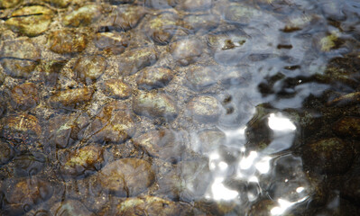 water flowing in the river