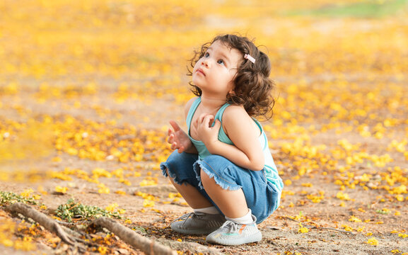 Little Caucasian child girl sitting under the tree, looking up to yellow leaves falling down on ground at park. Cute kid with curly hair wear casual clothes in Autumn. Copy space - Powered by Adobe