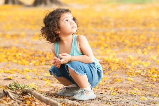 Little Caucasian child girl sitting under the tree, looking up to yellow leaves falling down on ground at park. Cute kid with curly hair wear casual clothes in Autumn. Copy space