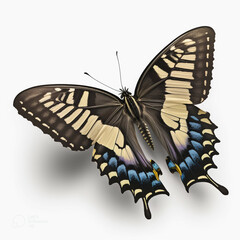 Fototapeta na wymiar Colorful Swallowtail butterfly, created with generative AI