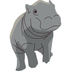 Hippopotamus Illustration-02