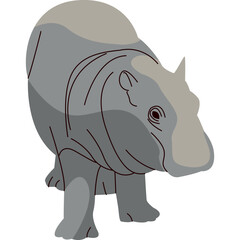 Hippopotamus Illustration-09