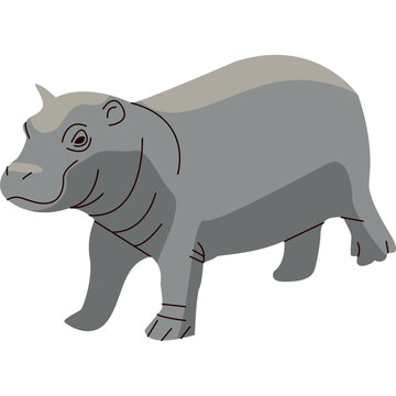 Hippopotamus Illustration-05
