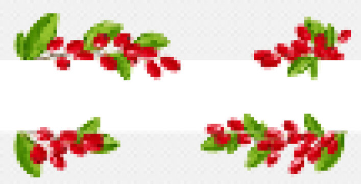 Isolated realistic barberry border illustration in vector on transparent background. Horizontal white frame with fresh red goji berry branch for title. Culinary and botanical png banner with twig.