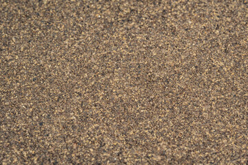 Poured ground black pepper background. Dry seasoning pepper. Spices and herbs for cooking, pepper powder