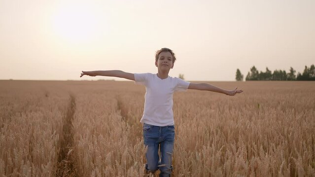 Happy boy child teenager running wheat field in park summer sunset. KId dreams airplane pilot, Happy family childhood happiness nature vacation win victory success travel freedom concept lifestyle 