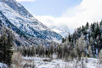Bernina, Val Bernina, Berninabach, Morteratsch, Morteratschgletscher, Gletscher, Gletscherweg, Piz Bernina, Bellavista, Engadin, Alpen, Graubünden, Winter, Winterwanderweg, Langlauf, Schweiz