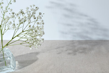 White gypsophila flower bouquet in glass vase on table with light neutral background and sunlight...