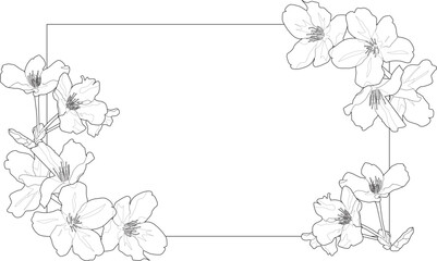 桜のモノクロ線画フレーム（枠あり）