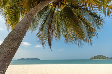 Fototapeta na wymiar Paradise empty white sandy beach with palm trees in Langkawi Malaysia
