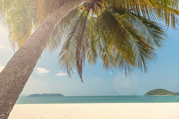 Paradise empty white sandy beach with palm trees in Langkawi Malaysia