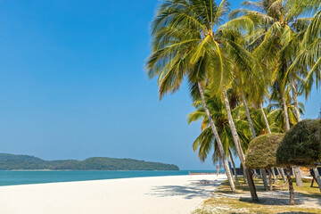 Obraz na płótnie Canvas Paradise empty white sandy beach with palm trees in Langkawi Malaysia