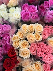 roses