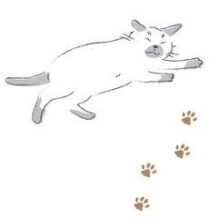 眠るポインテッドの猫と足跡