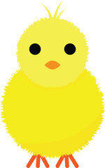 Chick vector image or clip art