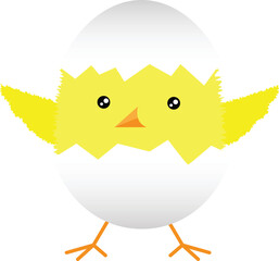 Chick vector image or clip art