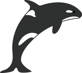Obraz premium Vector color illustration of a killer whale.