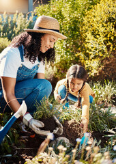 Black family, children or gardening with a mother and daughter planting plants in the backyard...