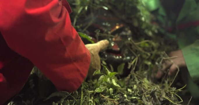 Vistiendo un diablo para fiesta tradicional de fuego y m&uacute;sica 