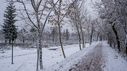 Frozen canal winter landscape with fir trees and heavy snow covering everything. Lutsk park. Ukraine.