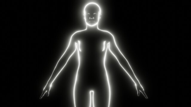 Glowing white outline of human body. Luminous female form with lowered arms at sides. .3d render illustration