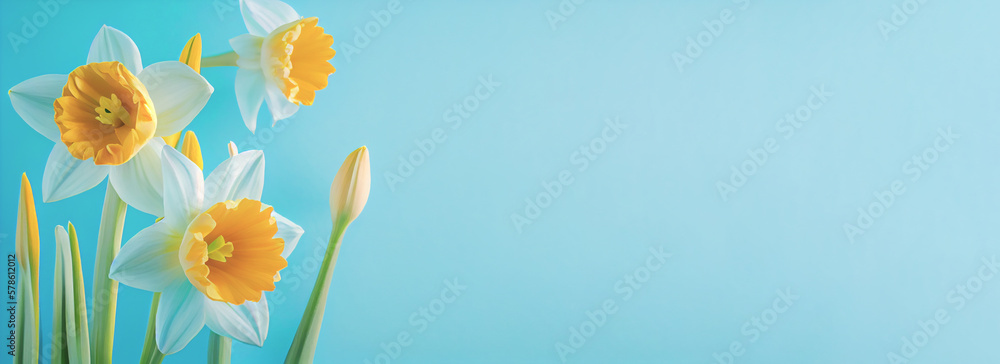 Poster spring easter background with top view of daffodils bouquet on light blue background with copy space