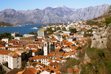 Fototapeta premium view of the city of kotor, Old Town, Montenegro