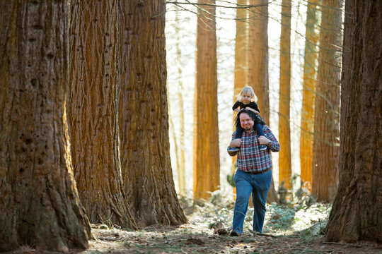 Father carries his daughter on his shoulders through the forest