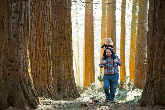 Father carries his daughter through the forest on his shoulders