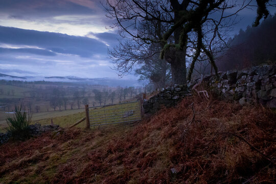 Landscape of farmland in the Dornoch Firth Scotland UK
