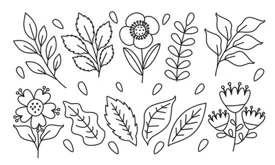 Line Art Drawing Of Flowers And Plants