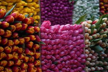 Almaty, Kazakhstan - 06.03.2023 : Different bouquets of flowers on sale before the holidays.