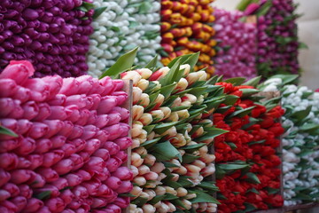Almaty, Kazakhstan - 06.03.2023 : Different bouquets of flowers on sale before the holidays.