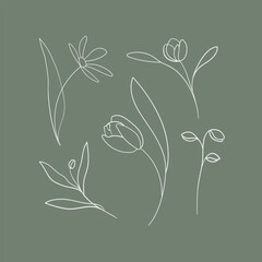 Outline doodle wildflowers twigs on green background in line art style. Greenery vector illustration in minimalist style.