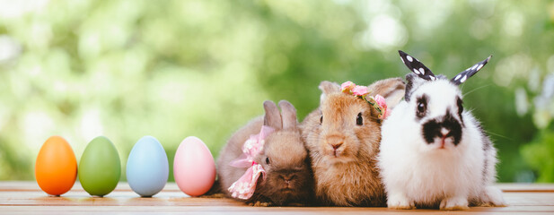 Group of three cute little three brown hare and rabbit sitting with multiple colorful easter eggs...