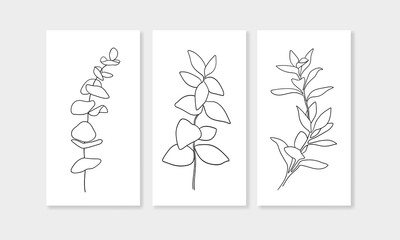Outline Eucalyptus twigs on a gray background in line art style. Greenery vector illustration in minimalist style.