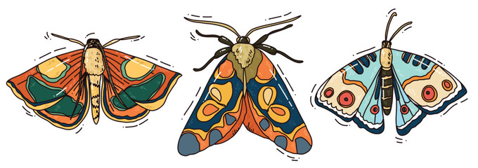 hand drawn butterfly colorful vector set