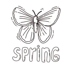 hand drawn butterfly outline vector illustration