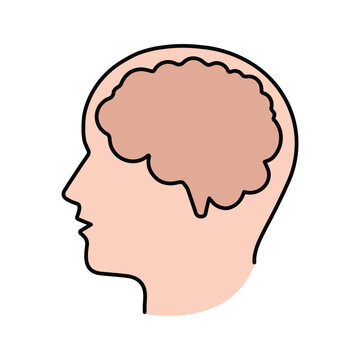 head, brain, human head icon