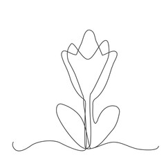 Continuous Thin Line Flower, Minimalist Botanical Drawing, One Line Art Flowering Blossom Draw, Single Floral Outline