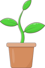 plant in pot icon png