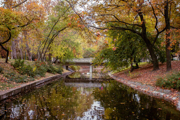 Autumn in the park in Budapest.
