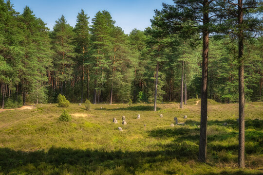 Stone Circles at Odry, an ancient burial and worship place from Bronze Age. UNESCO Archaeological and Natural Reserve, Pomerania, Poland