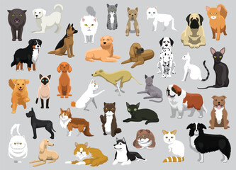 Animal Pets Cats Dogs Characters Cartoon Vector - obrazy, fototapety, plakaty