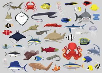 Animal Fishes Sea Creatures Characters Cartoon Vector